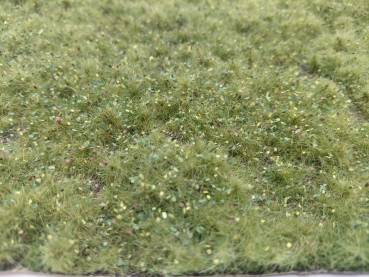 Wildwuchs hoch, Frühherbst